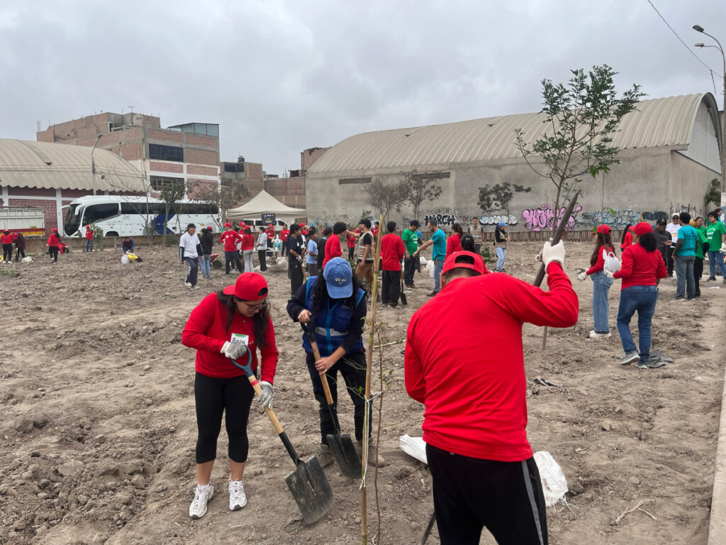 Plantacion de 2 arboles y estaciones 2 - FIA