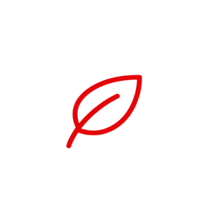 enfoque