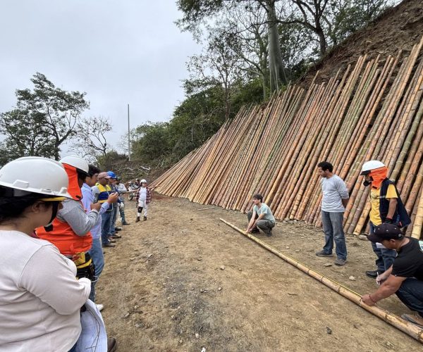 GALPÓN PARA LA PLANTA DE FABRICACIÓN DE BRIQUETAS DE CARBÓN DE BAMBÚ 7 - FIA 1