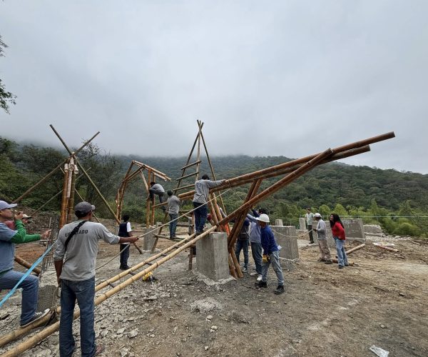 GALPÓN PARA LA PLANTA DE FABRICACIÓN DE BRIQUETAS DE CARBÓN DE BAMBÚ 10 - FIA 4