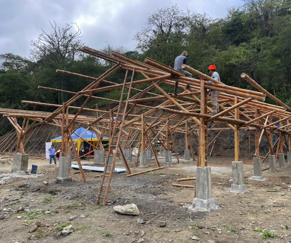 GALPÓN PARA LA PLANTA DE FABRICACIÓN DE BRIQUETAS DE CARBÓN DE BAMBÚ 11 - FIA 5